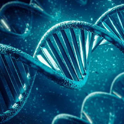 Epigenetics Epigenetics